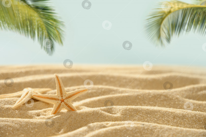 Скачать Летний фон с морскими звездами и солнечным тропическим пляжем. фотосток Ozero