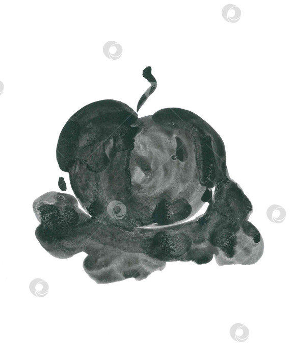 Скачать Объемная акварель, стилизованная под яблоко в оттенках серого на белом фоне. Симпатичное мультяшное изображение еды для креативного оформления кухни или меню. Уютные обои ручной работы в теплой цветовой гамме для домашнего дизайна фотосток Ozero