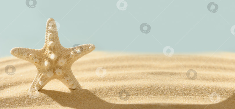 Скачать Морские звезды стоят на песке в солнечной тени. Летние каникулы на море. Баннер. фотосток Ozero
