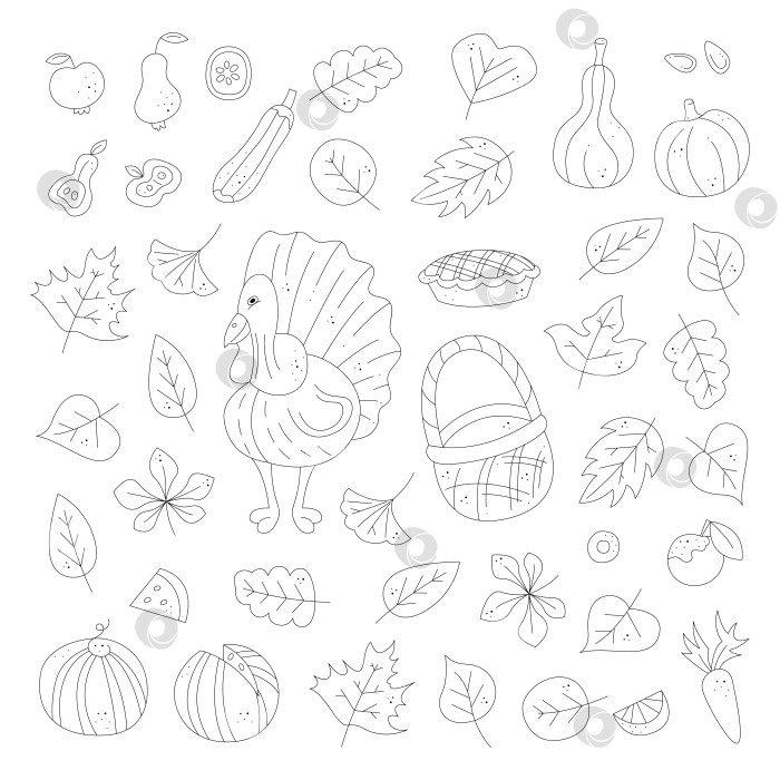 Скачать Праздничный сет с индейкой, осенними листьями и овощами. Черно-белая векторная иллюстрация клипарта. фотосток Ozero