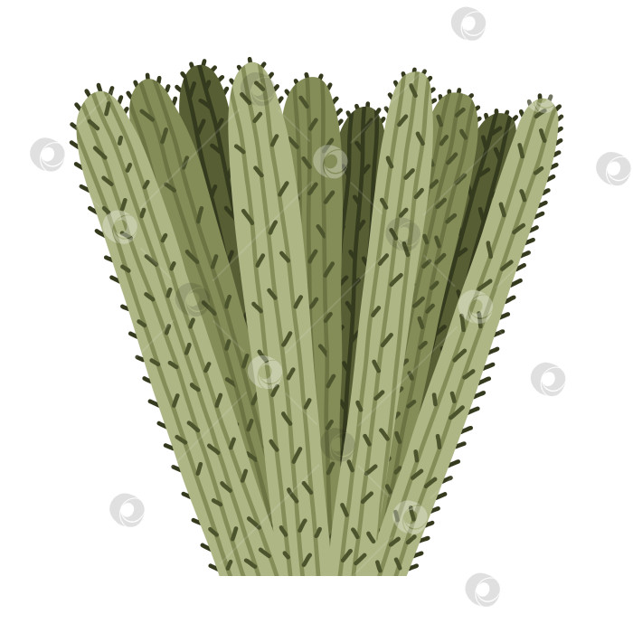 Скачать Симпатичный нарисованный от руки кактус из Мексики или пустыни Дикого Запада. Векторный простой цветок кактуса с шипами в мультяшном стиле. Мексиканское колючее экзотическое растение, изолированное на белом фоне. фотосток Ozero