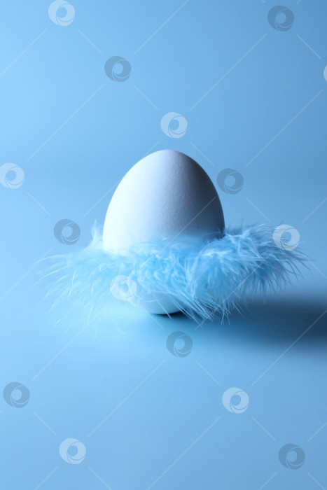 Скачать Яйцо с юбкой из перьев, пасхальное яйцо, выборочный фокус, вертикальный формат фотосток Ozero