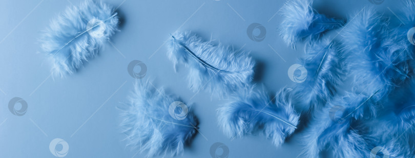 Скачать Фон с перьями, синяя градация фотосток Ozero
