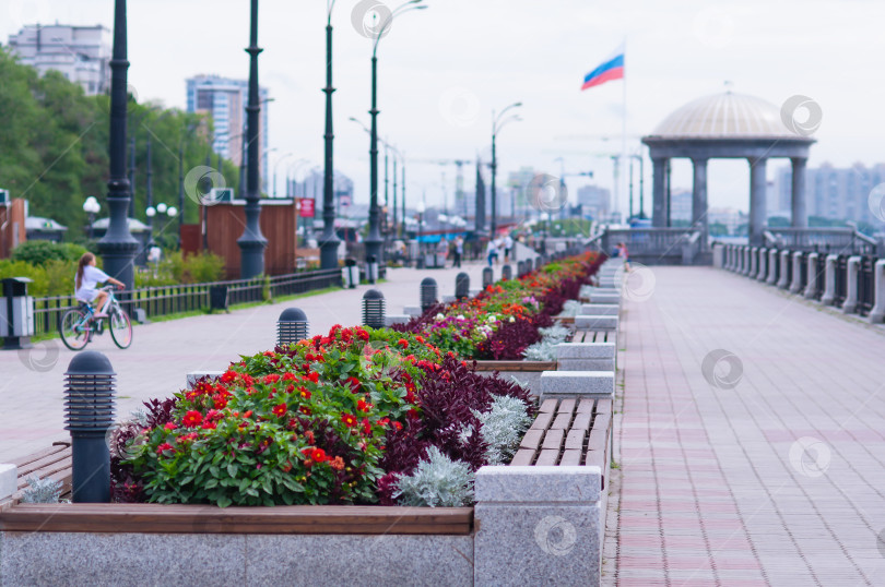 Скачать Ряд цветочных клумб на набережной с ротондой и российским флагом на заднем плане. Набережная на реке Амур в Благовещенске, Россия. фотосток Ozero