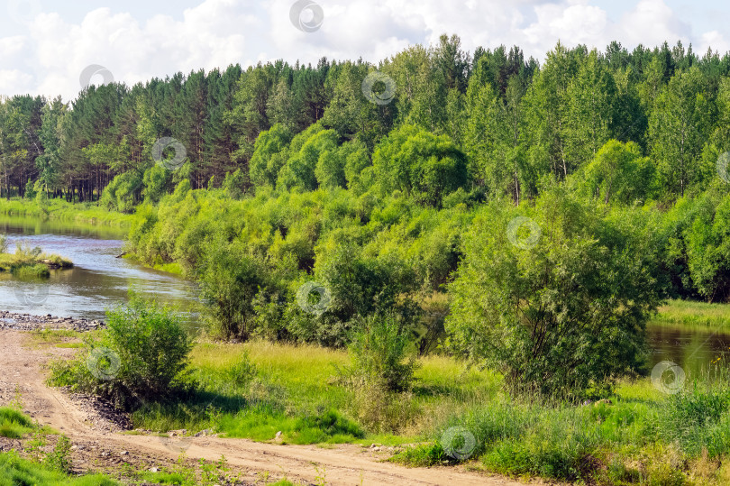 Скачать Летний пейзаж с рекой и лесом. Россия, природа Восточной Сибири. фотосток Ozero