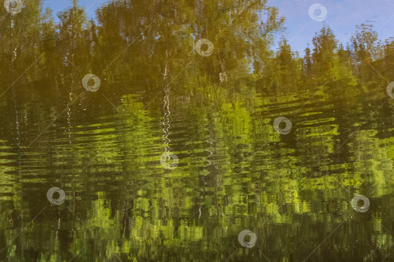 Скачать Отражение деревьев в воде. Абстрактный фон для дизайна. фотосток Ozero