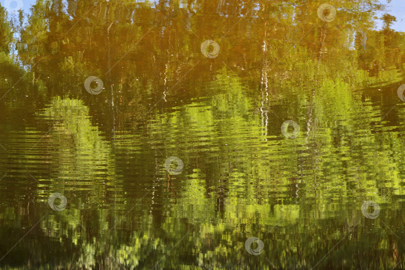 Скачать Отражение деревьев в воде озера. Абстрактный фон. фотосток Ozero