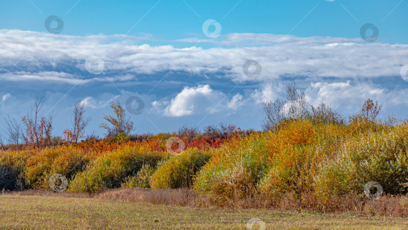 Скачать Красивый осенний пейзаж фотосток Ozero