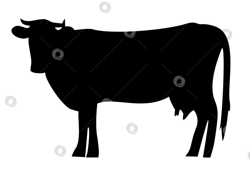 Скачать Силуэт стоящей коровы, домашнего животного фотосток Ozero