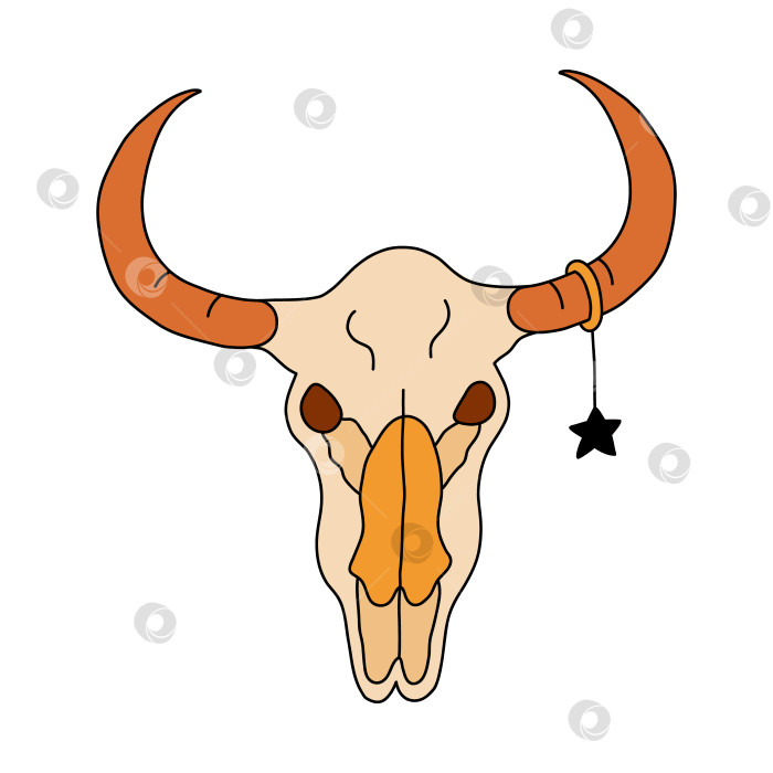Скачать Простой красочный рисунок бычьего черепа с серьгой в виде звезды на роге с нарисованным от руки контуром. Портрет скелета головы коровьего черепа, вид спереди. Знак ковбоя, западная культура, ковбойша, Техас фотосток Ozero
