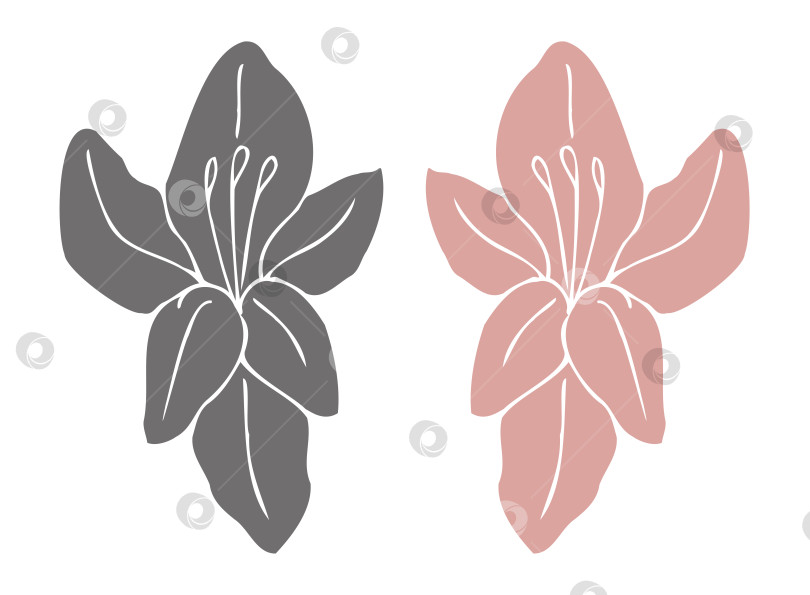 Скачать Растительный цветочный принт - это простой цветок для дизайна, логотипа или значка фотосток Ozero