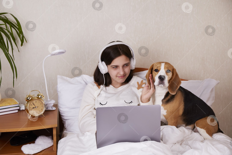 Скачать Девочка-подросток сидит на кровати под одеялом, в наушниках, смотрит на экран ноутбука. фотосток Ozero
