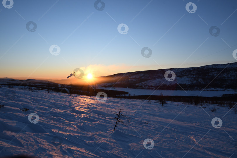 Скачать Сиреневое утро фотосток Ozero