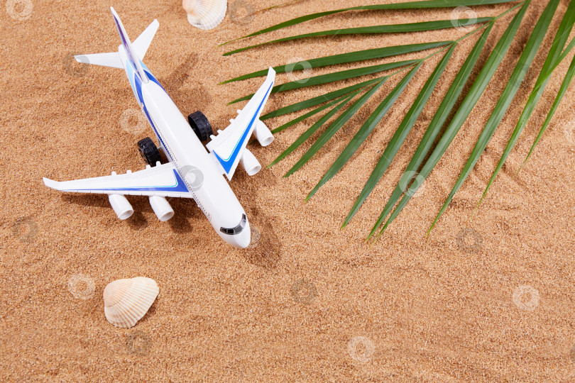 Скачать Летний фон. Самолет, морские ракушки и пальмовый лист на песке на пляже. фотосток Ozero