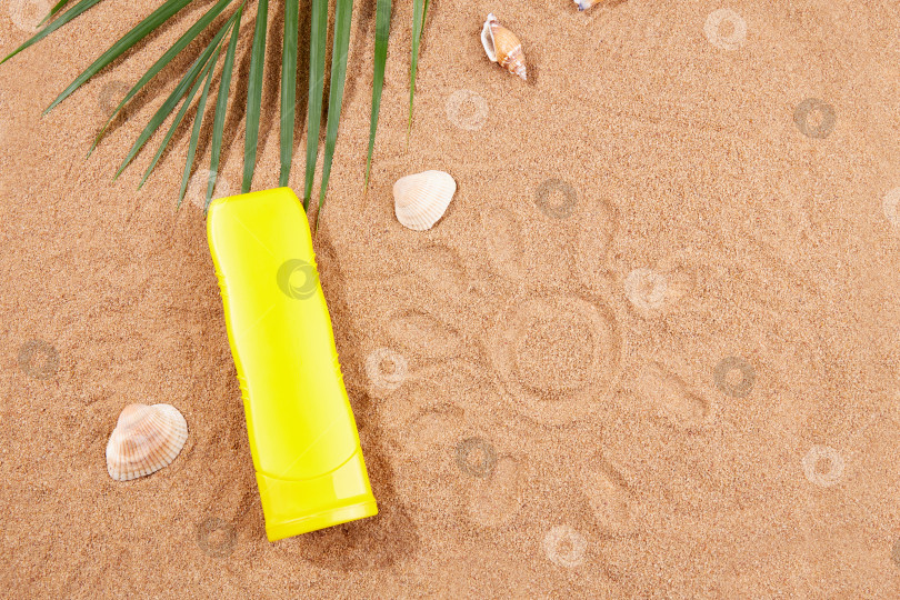 Скачать Летний фон. Солнцезащитный крем, ракушки и пальмовые листья на песке на пляже. фотосток Ozero