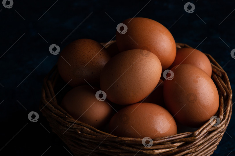 Скачать Куриные яйца фотосток Ozero