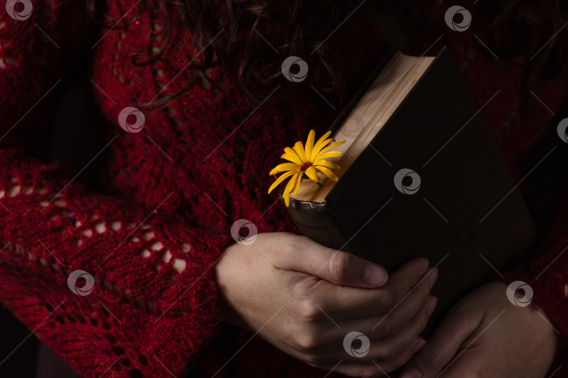 Скачать Читательница с книгой фотосток Ozero
