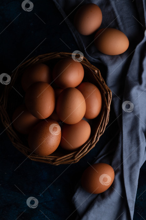 Скачать Куриные яйца фотосток Ozero