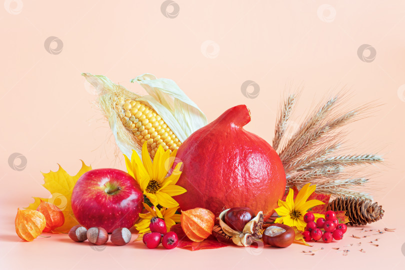 Скачать Осенняя композиция с сезонными овощами фруктами, ягодами и листьями фотосток Ozero