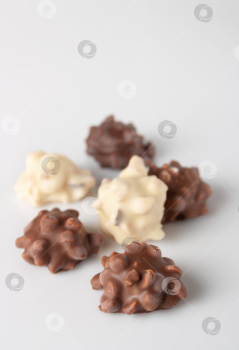 Скачать конфеты с орехами в белом и коричневом шоколаде, выборочный фокус, пространство для копирования фотосток Ozero