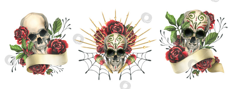 Скачать Человеческие черепа с нарисованным от руки орнаментом, лента для текста, красные розы. Нарисованная от руки акварельная иллюстрация к Хэллоуину, дню мертвых, Диа-де-лос-муэртос. Набор композиций на белом фоне фотосток Ozero