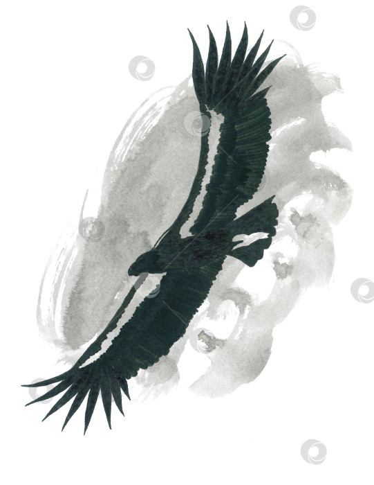 Скачать Романтическая анималистическая иллюстрация о свободной птице, парящей в небе с распростертыми крыльями. Акварельное черно-белое искусство в японском минималистском стиле. Стильные обои для спокойствия и хорошего настроения фотосток Ozero