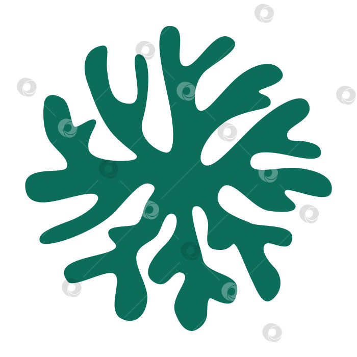 Скачать Растения из морских водорослей с круглым красивым логотипом фотосток Ozero