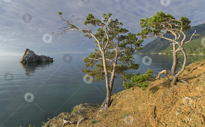 Скачать Вид на Бакланий камень с Большой Байкальской тропы. фотосток Ozero