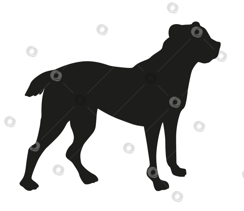 Скачать Среднеазиатская овчарка (алабай) черный силуэт стоящей собаки фотосток Ozero
