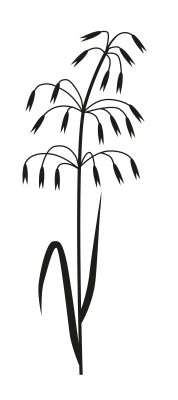 [object Object] undefined