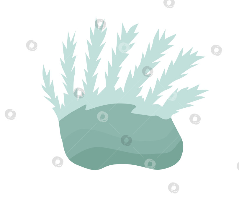 Скачать Элементом дня моря или аквариума являются голубые водоросли фотосток Ozero