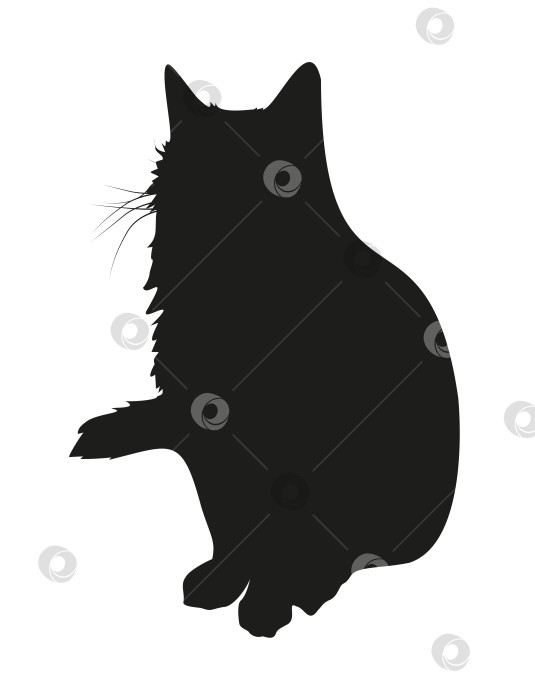 Скачать Черный силуэт пушистого кота с усами фотосток Ozero
