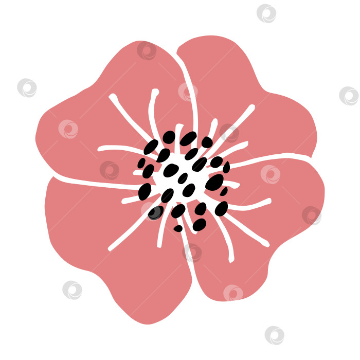 Скачать Розовый цветок с крапчатыми тычинками и абстрактным цветочным логотипом фотосток Ozero