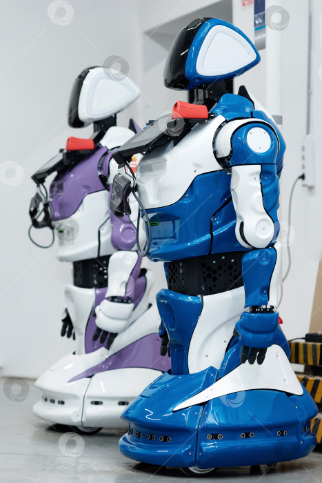Скачать два человекоподобных робота-проводника с медицинскими функциями в мастерской, где они были собраны фотосток Ozero