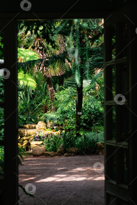 Скачать вход в старую оранжерею с коллекцией тропических растений фотосток Ozero