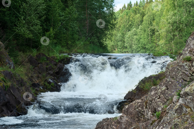 Скачать природный ландшафт с прозрачным водопадом на лесной реке фотосток Ozero