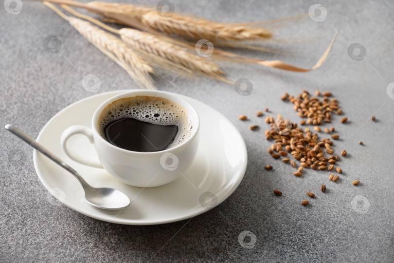 Скачать Ячменный кофе в белой чашке и початки ячменя на сером фоне. фотосток Ozero