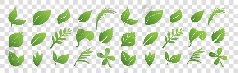 Скачать Набор зеленых листьев на прозрачном фоне с тенью и без нее, для логотипов, дизайнов, символики зеленой планеты фотосток Ozero