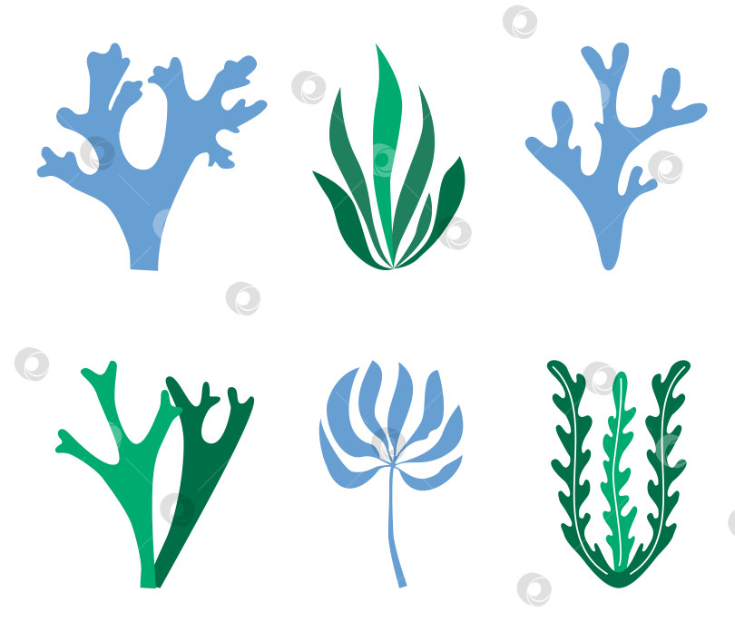Скачать Набор синих и зеленых водорослей на белом фоне фотосток Ozero