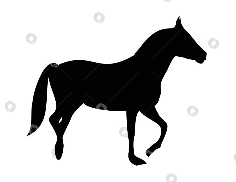 Скачать Стоящая лошадь - это черный силуэт животного. Животное подняло переднюю лапу. фотосток Ozero