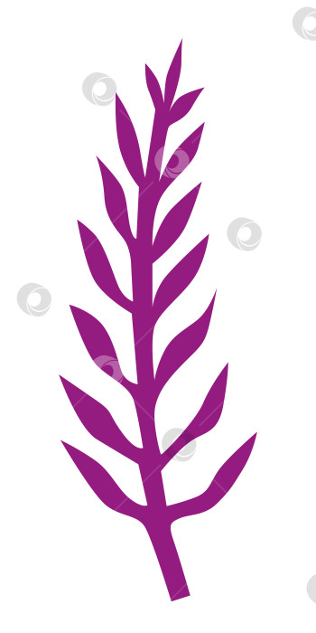 Скачать Абстрактное растение для стилистического оформления. Фиолетовая веточка. Природный элемент. фотосток Ozero