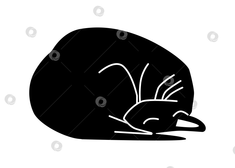 Скачать Черный силуэт спящей кошки, логотип или иконка фотосток Ozero