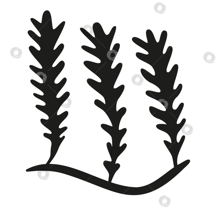 Скачать Черные силуэты логотипа аквариума с морскими водорослями фотосток Ozero