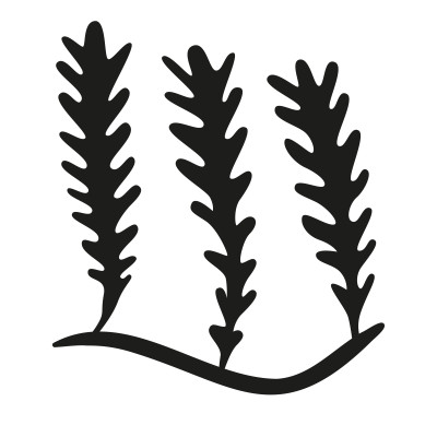 [object Object] undefined