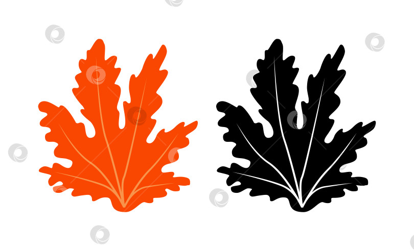 Скачать Яркие абстрактные морские водоросли для логотипа или значка фотосток Ozero