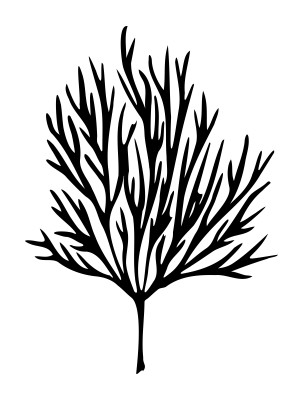 [object Object] undefined