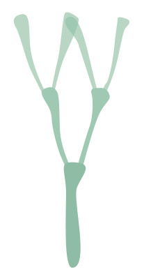 [object Object] undefined
