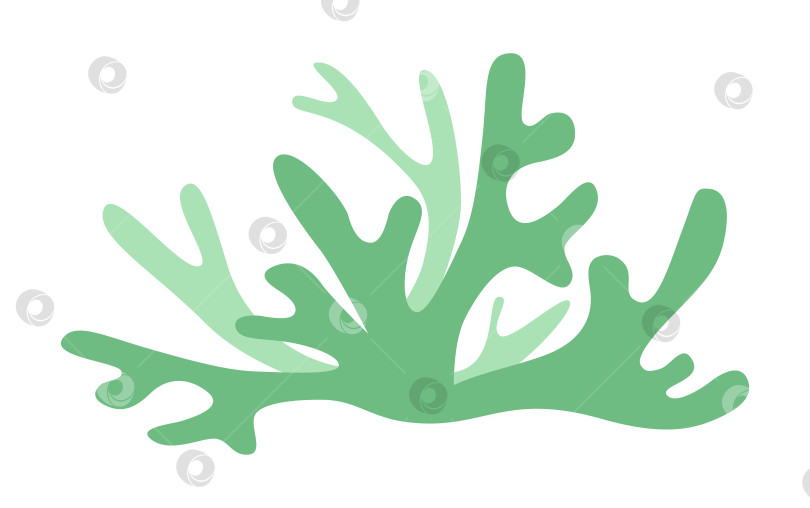 Скачать Исландский мох - это ровный зеленый оттенок для логотипа или значка фотосток Ozero