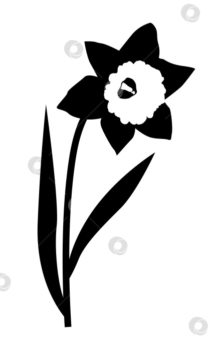 Скачать Цветок нарцисса, первые весенние цветы, иконка, логотип, дизайн фотосток Ozero