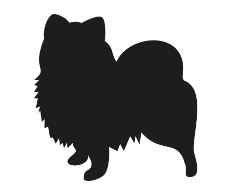 [object Object] undefined